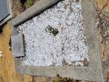 image of grave number 968431
